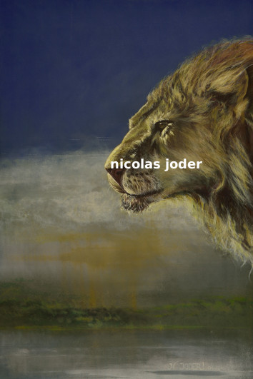 Dopo la pioggia nella savana 04_2016